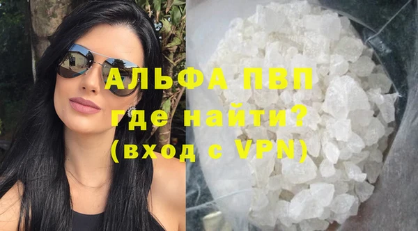 хмурый Осинники